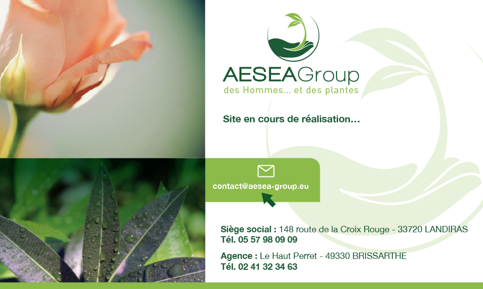 aesea